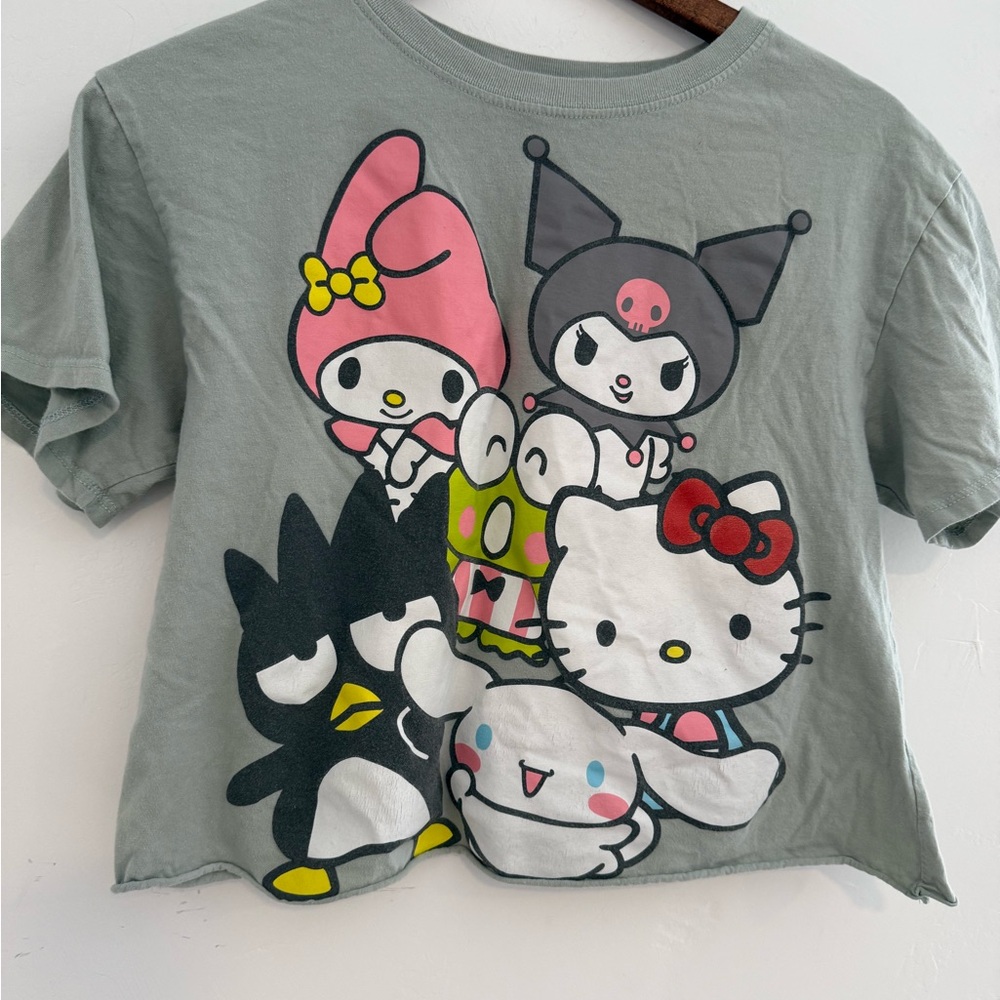 Sanrio Large crop top box lunch hello kitty graphic tshirt BoxLunch sanrio